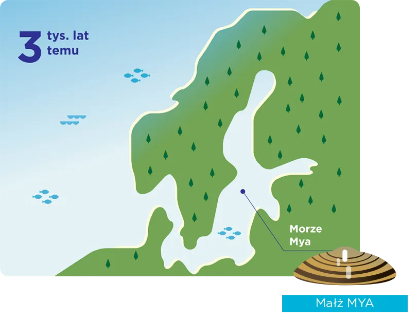 Zdjęcie Jak powstał Bałtyk? Fascynująca historia jego geologicznego kształtowania