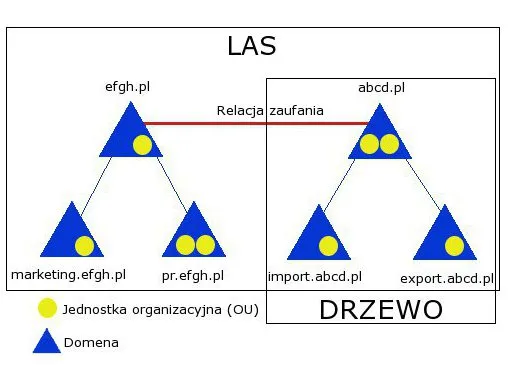 Zdjęcie Jaką nazwę przyjmie las po utworzeniu w nim pierwszej domeny?