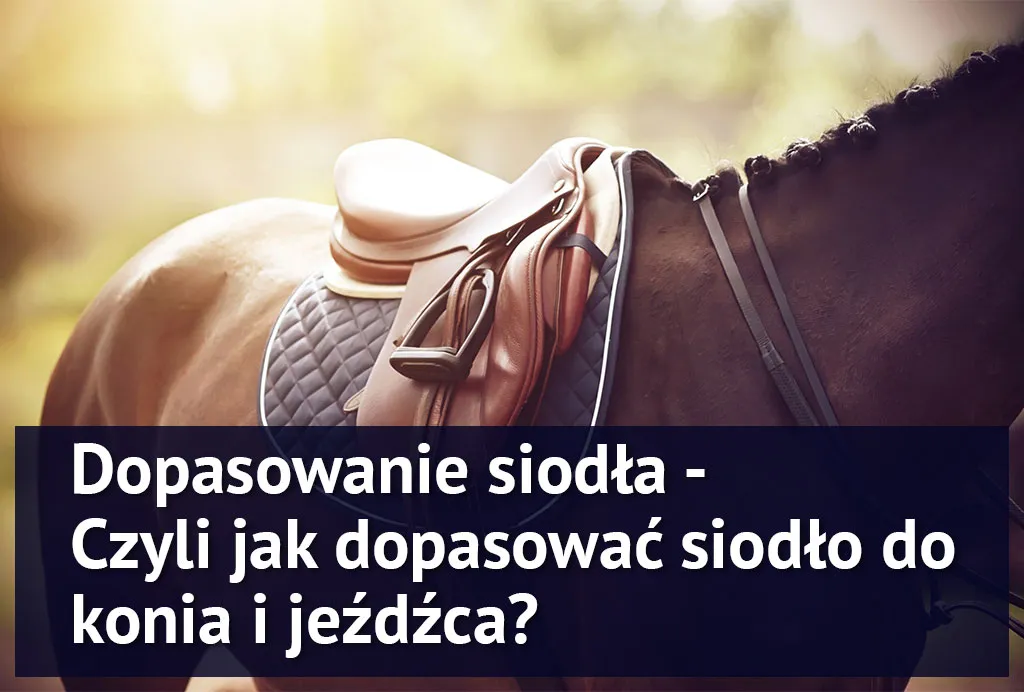 Zdjęcie Jak dopasować siodło do konia, aby uniknąć bólu i dyskomfortu
