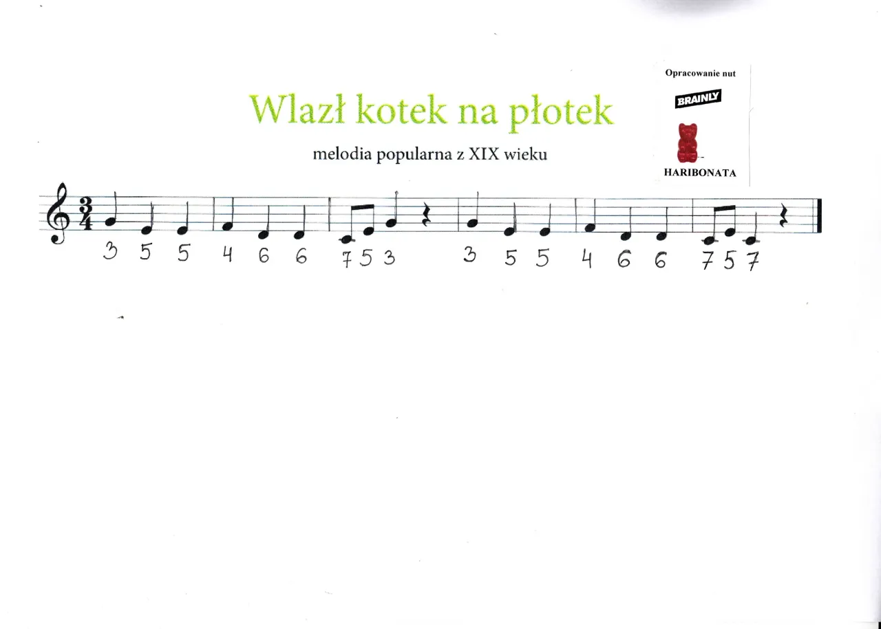 Zdjęcie Jak zagrać na pianinie Wlazł kotek - łatwe nuty i wskazówki dla początkujących