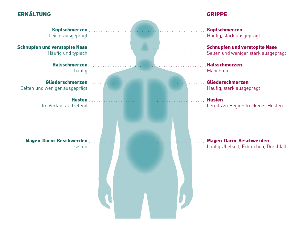 Zdjęcie Symptome für eine Erkältung: So erkennen Sie die Anzeichen rechtzeitig