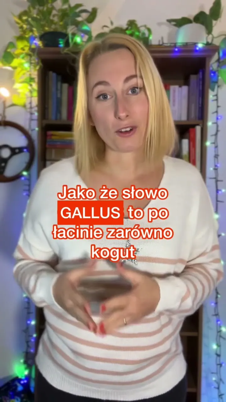 Zdjęcie Dlaczego symbolem Francji jest kogut? Odkryj jego fascynującą historię