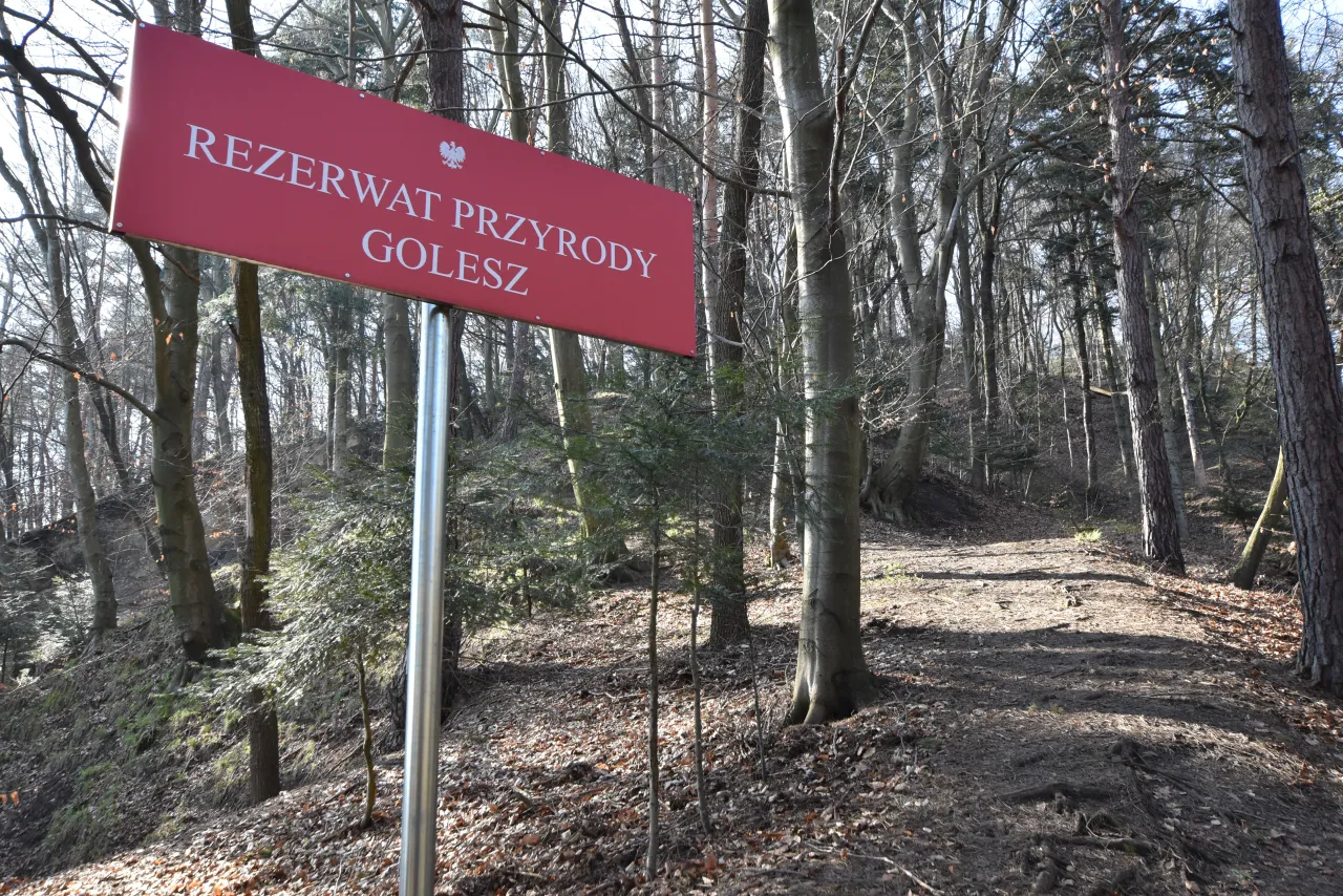 Czerwony znak informuje o wejściu do rezerwatu przyrody Golesz. Ścieżka prowadzi przez las pełen drzew o nagich gałęziach.