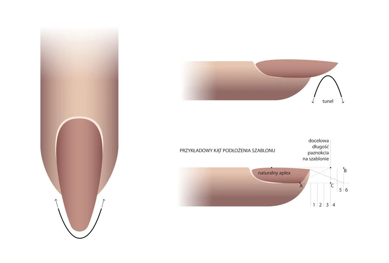r&oacute;żne kształty paznokci schemat