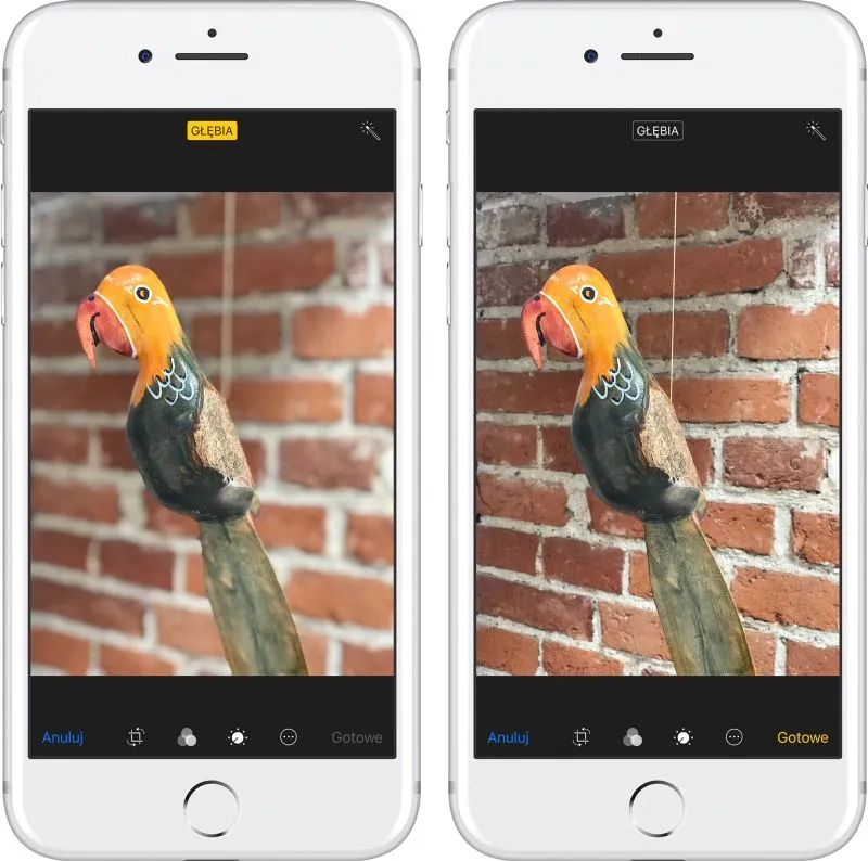 telefon w trybie portretowym, rozmyte tło