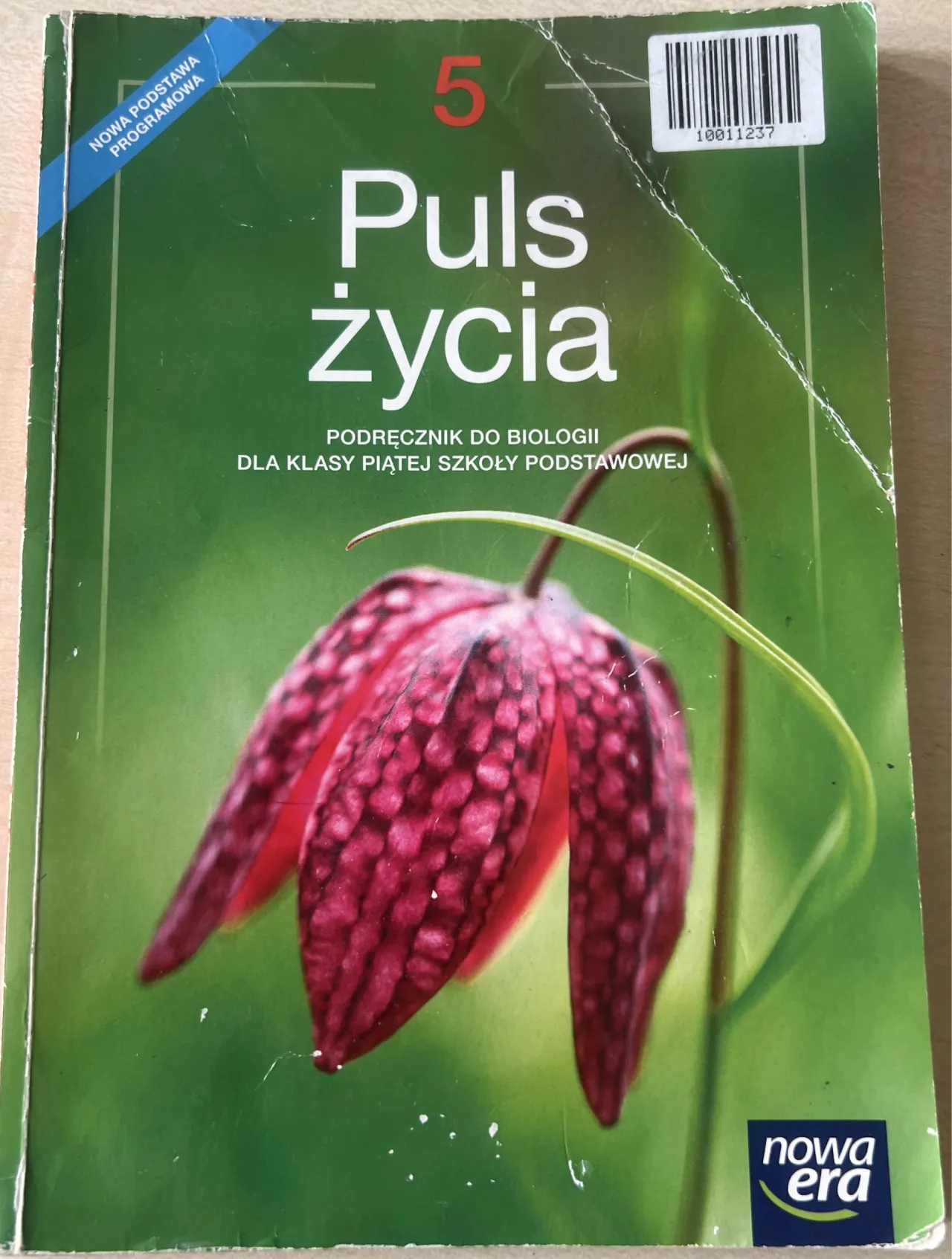 Zdjęcie Gdzie wypożyczyć podręczniki do biologii dla 5 klasy i oszczędzić?
