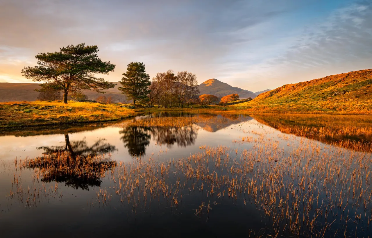 Piękne zdjęcie krajobrazu złota godzina