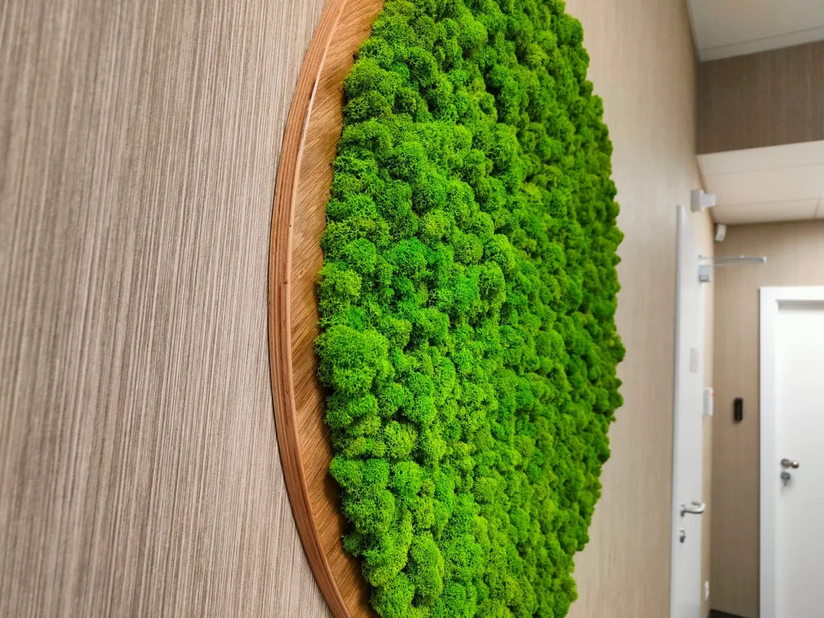 Mech dekoracyjny w domu, nawilżacz powietrza