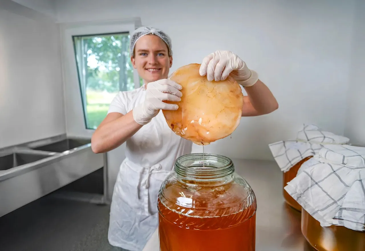 Osoba wąchająca i smakująca kombuchę