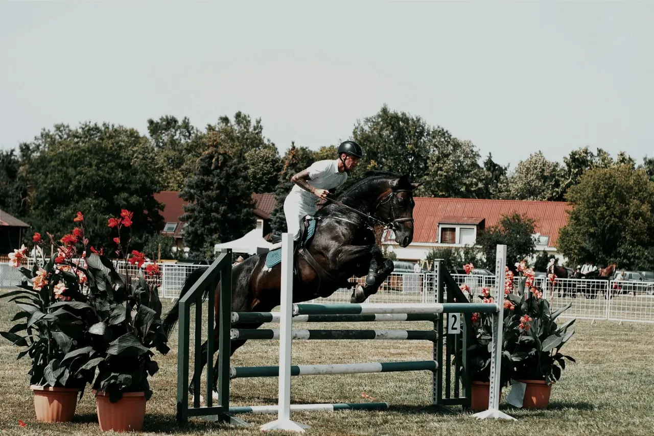 nie kupuj używanego kasku jeździeckiego