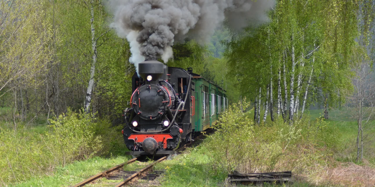 Bieszczadzka Kolejka Leśna pociąg w Majdanie