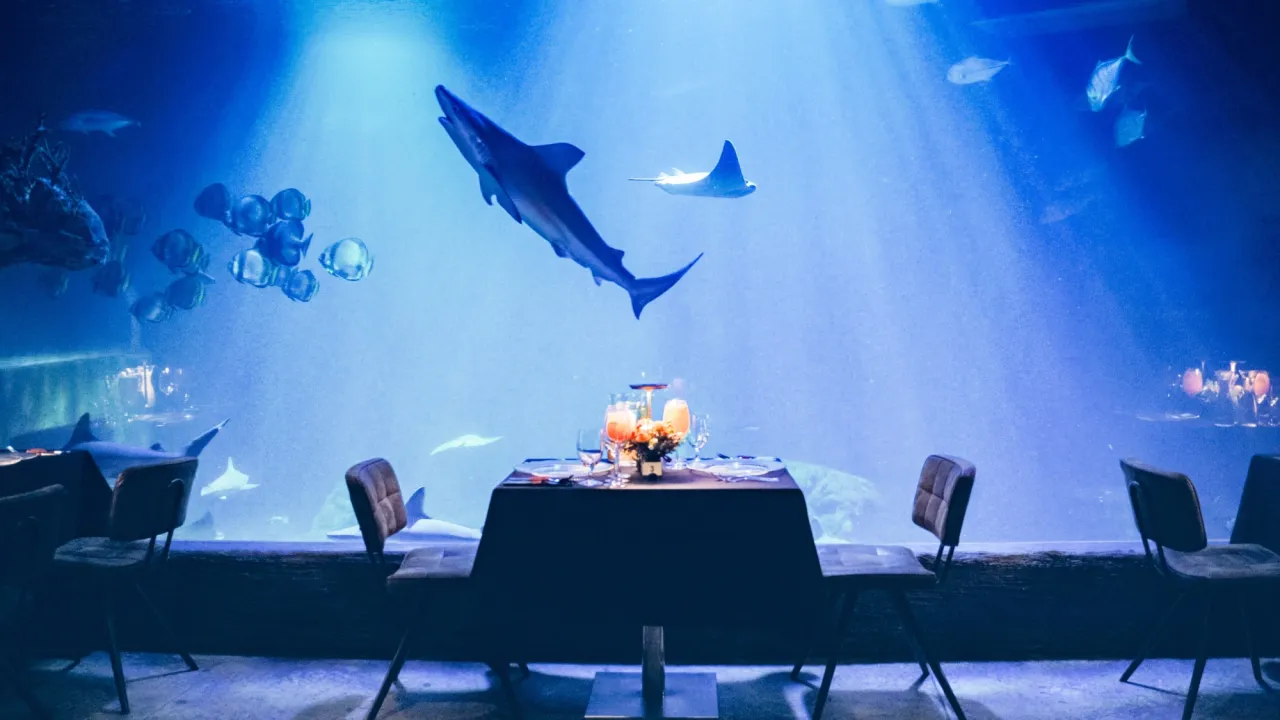 Cennik kolacji w oceanarium Wrocław