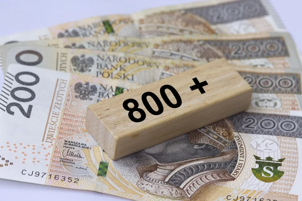 Pieniądze 800 plus wniosek