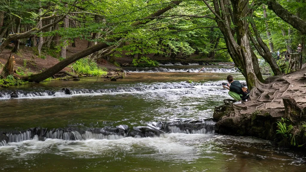 Roztocze szumy na rzece Tanew