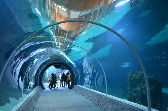 Ł&oacute;dź ikony atrakcji, Manufaktura Piotrkowska EC1 Orientarium