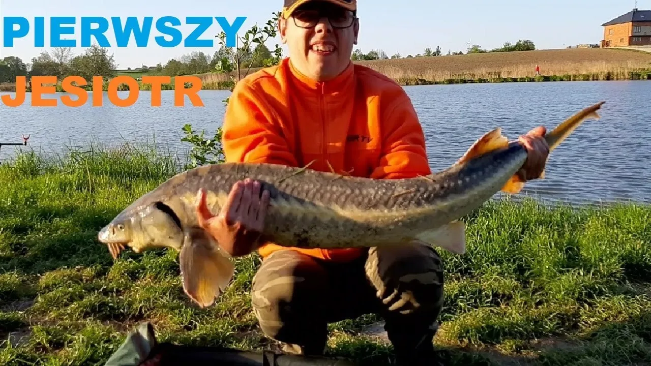 różne przynęty na jesiotra na łowisku komercyjnym