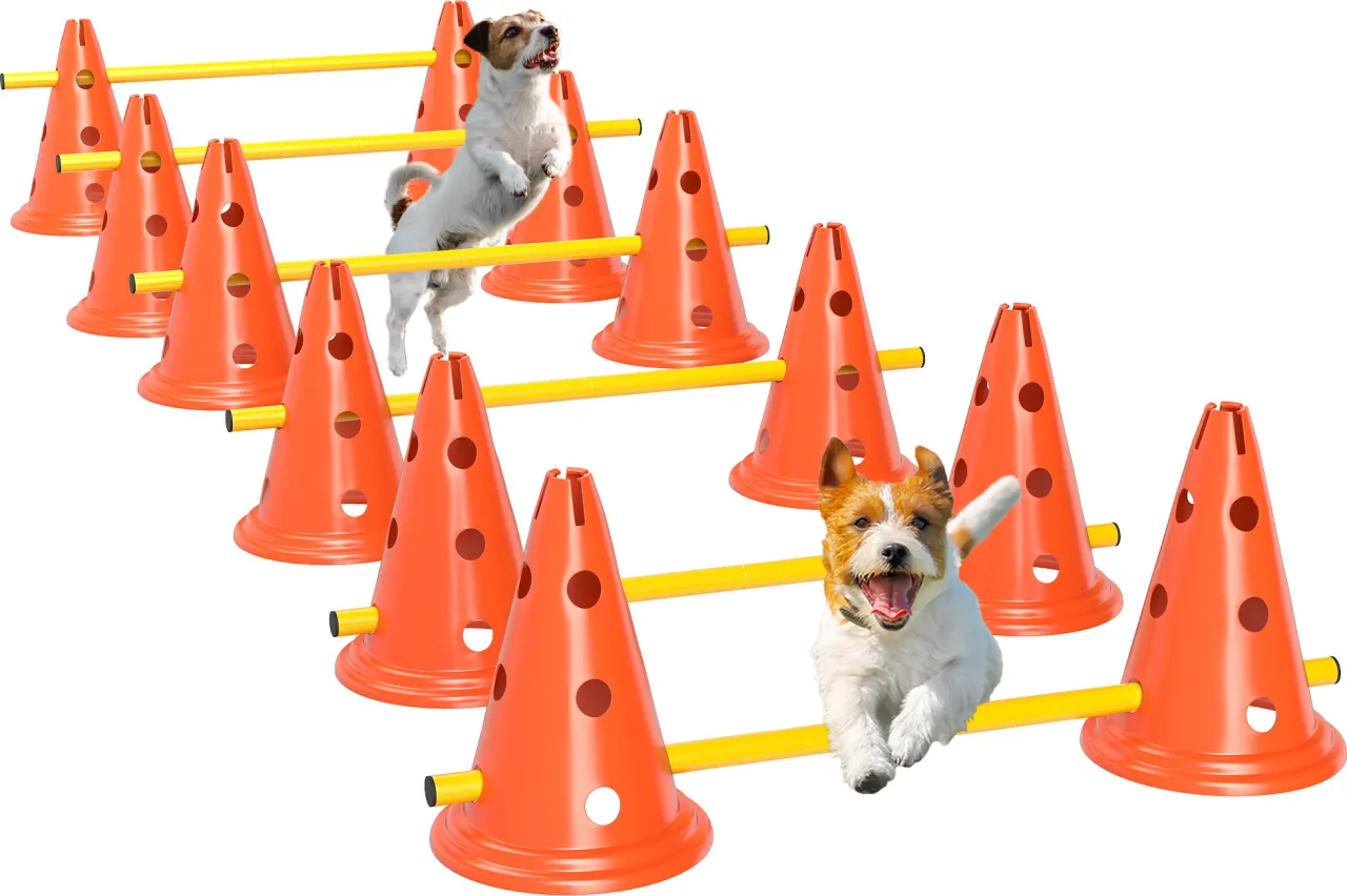 Akcesoria do tresury psa w domu