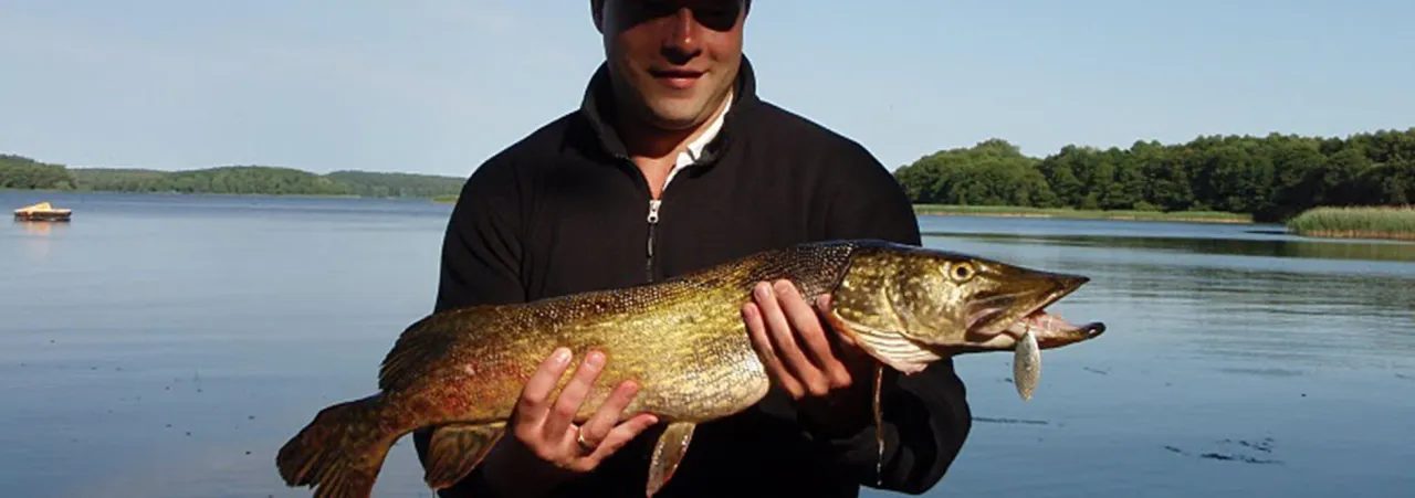 gatunki ryb jezioro Lubie