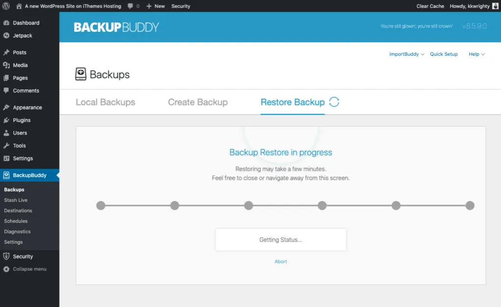 WordPress backup restore process