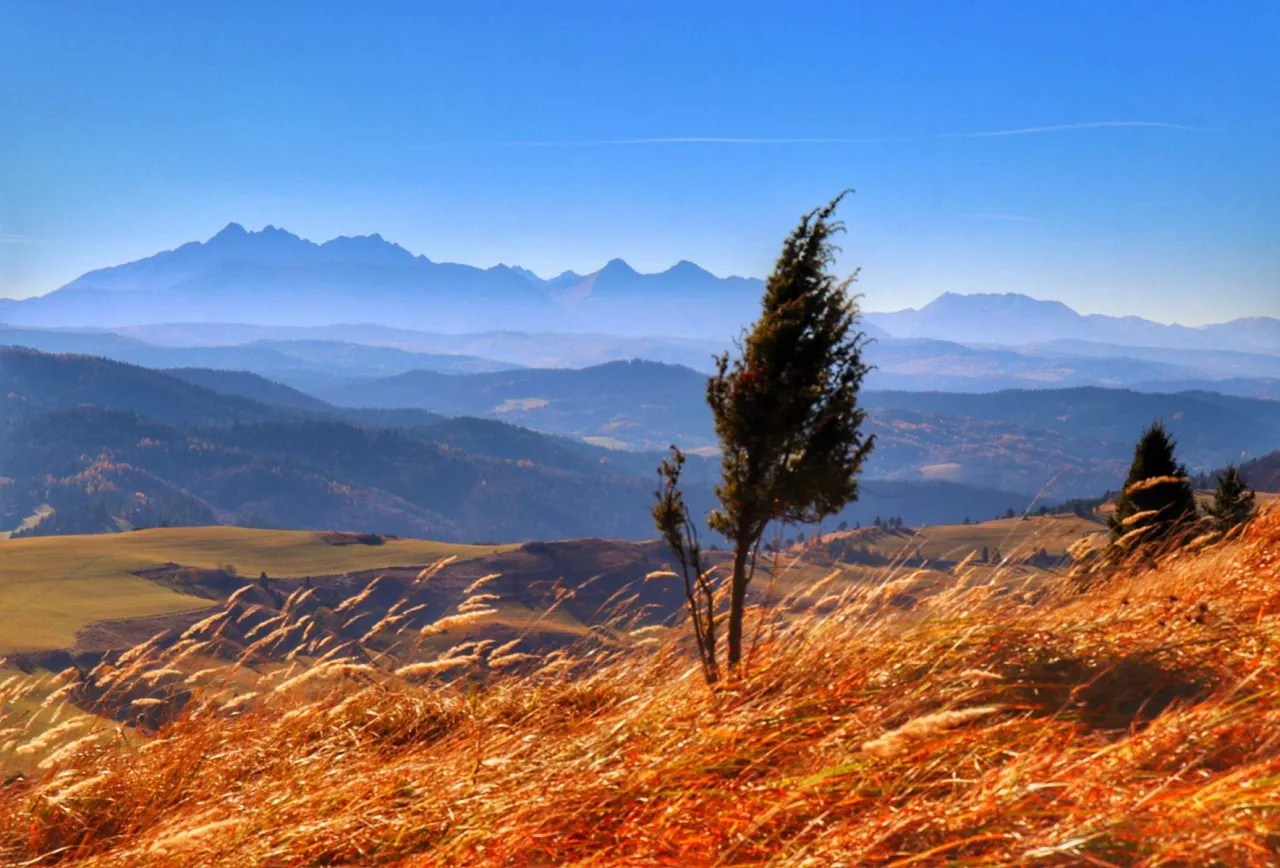 Wysoki Wierch Pieniny widoki szlaki turystyczne