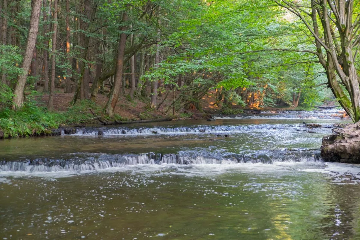 Nieoczywiste miejsca w Polsce, np. Roztocze, Podlasie