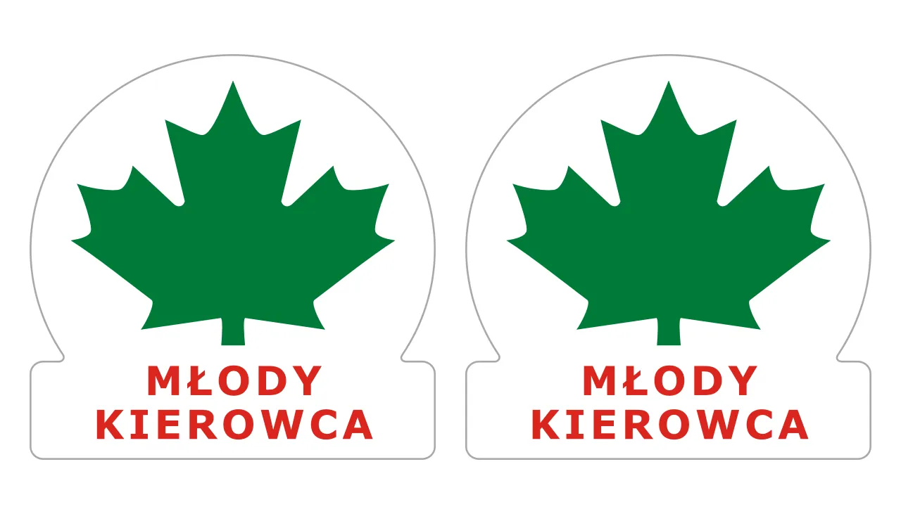 Zdjęcie Gdzie kupić zielony liść kierowcy? Sprawdź najlepsze oferty i ceny