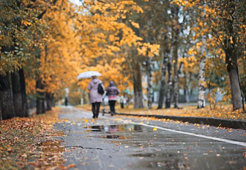 Atrakcje Szczecin na deszcz