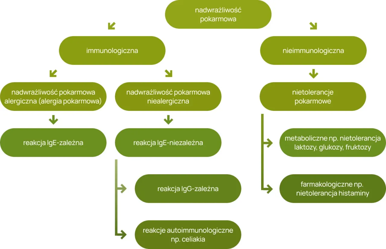 Testy IgG na nietolerencje pokarmowe grafika schemat działania
