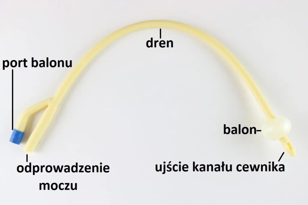 cewnik foleya schemat budowy