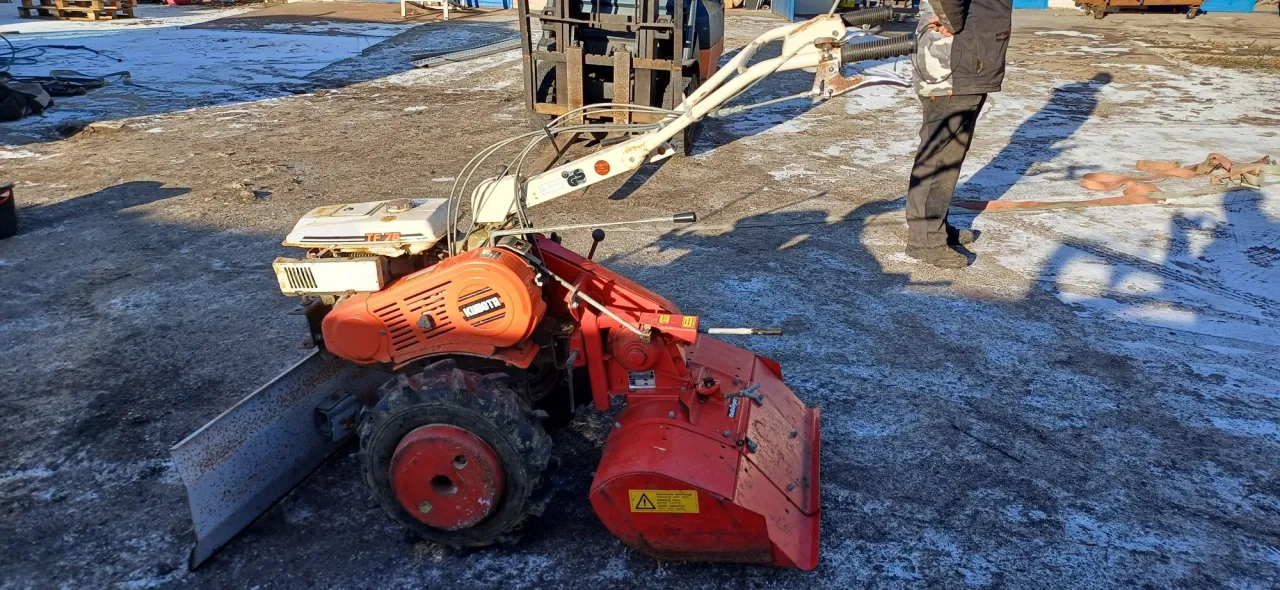 glebogryzarka Grudziądz Dzik