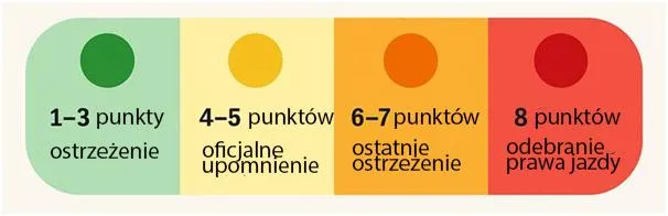 Konsekwencje punktów karnych Niemcy