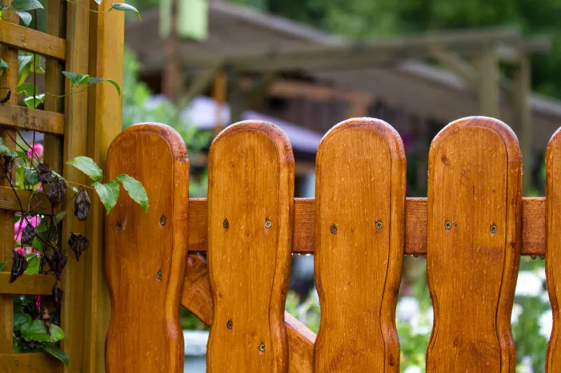 Rodzaje drewna na płot poziomy sosna świerk modrzew