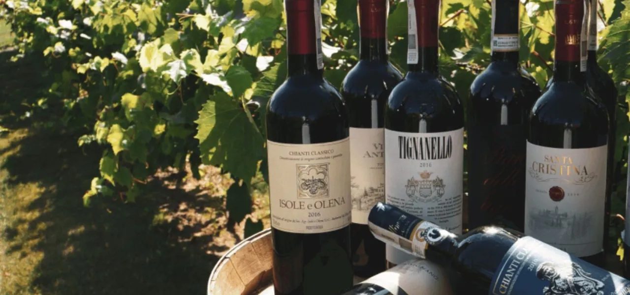 r&oacute;żne butelki wina na tle mapy Europy