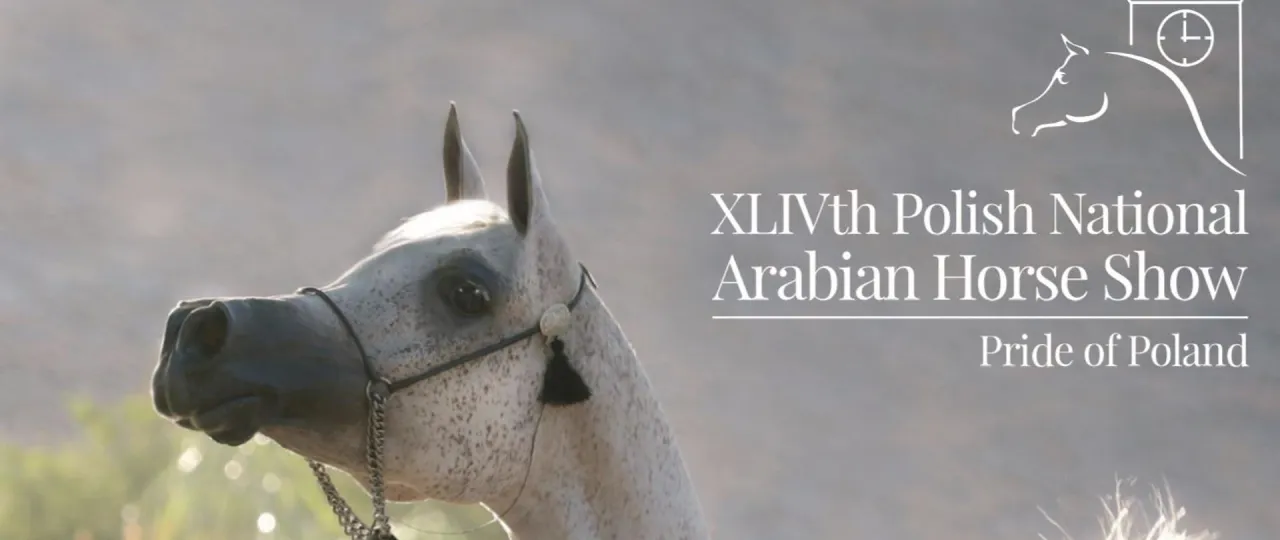 Aukcja Pride of Poland Jan&oacute;w Podlaski