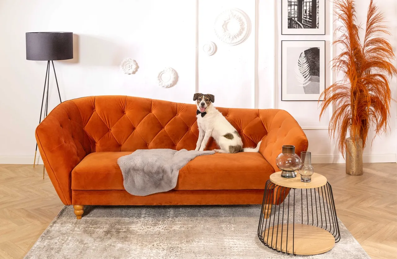 pies na narożniku wyb&oacute;r tkaniny