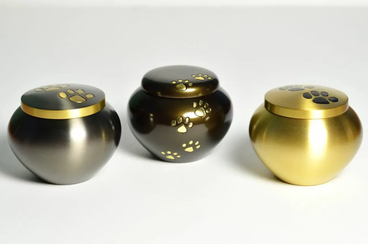 Trzy urny dla zwierząt z odciskami łap. Zastanawiasz się, ile kosztuje eutanazja kota?