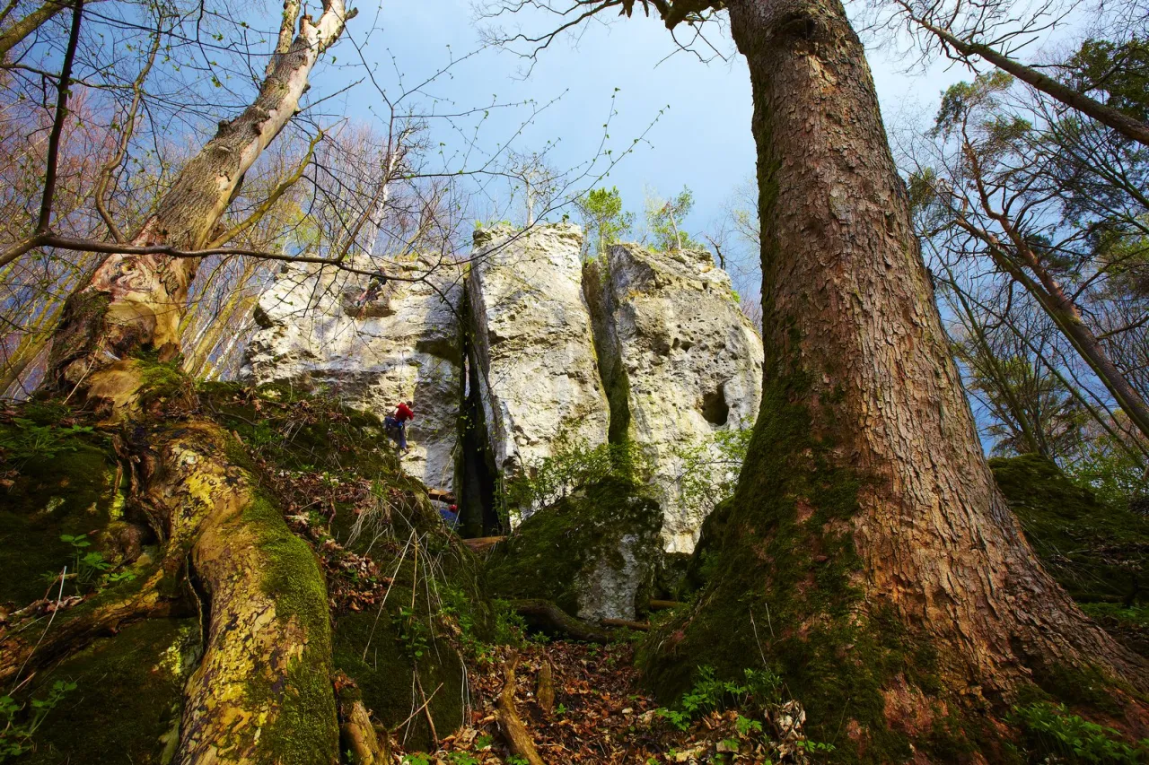 Rezerwat Parkowe Brama Twardowskiego Diabelskie Mosty