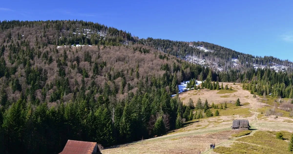 Gorce krajobraz polany lasy