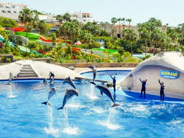 Delfiny Teneryfa Aqualand interakcja