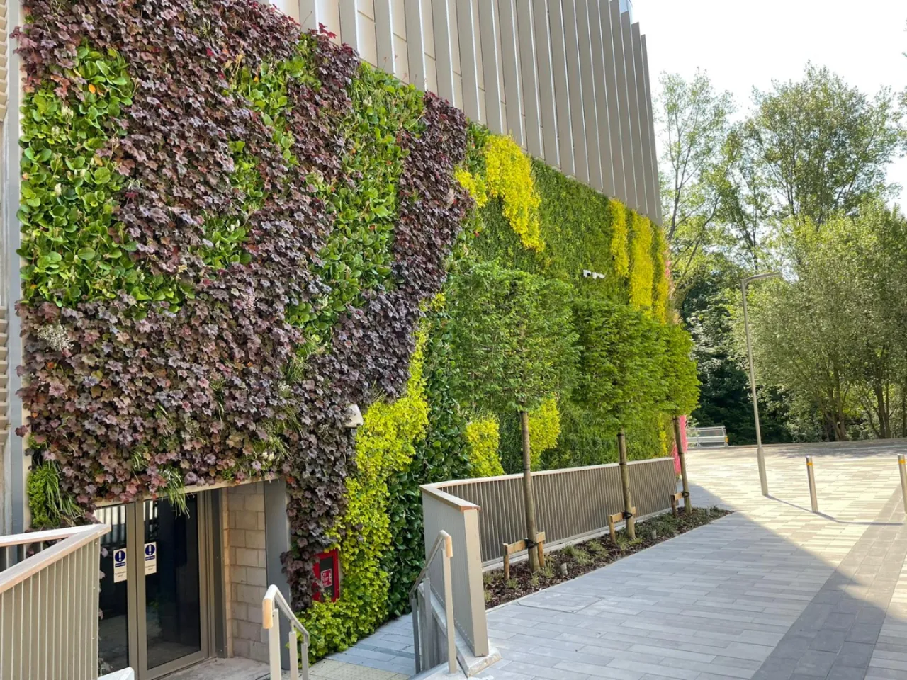 zielone fasady budynków