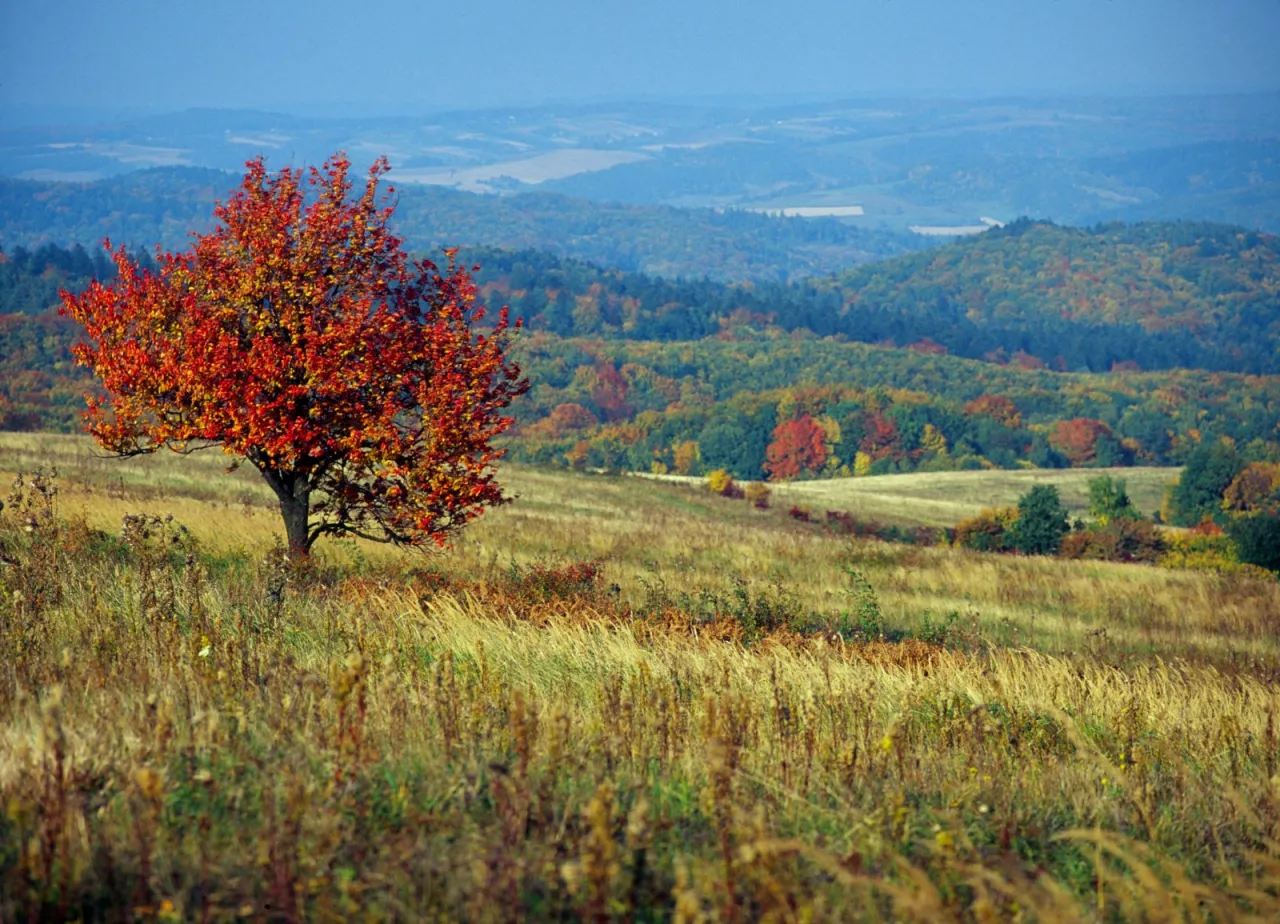 Pog&oacute;rze Przemyskie widoki szlaki