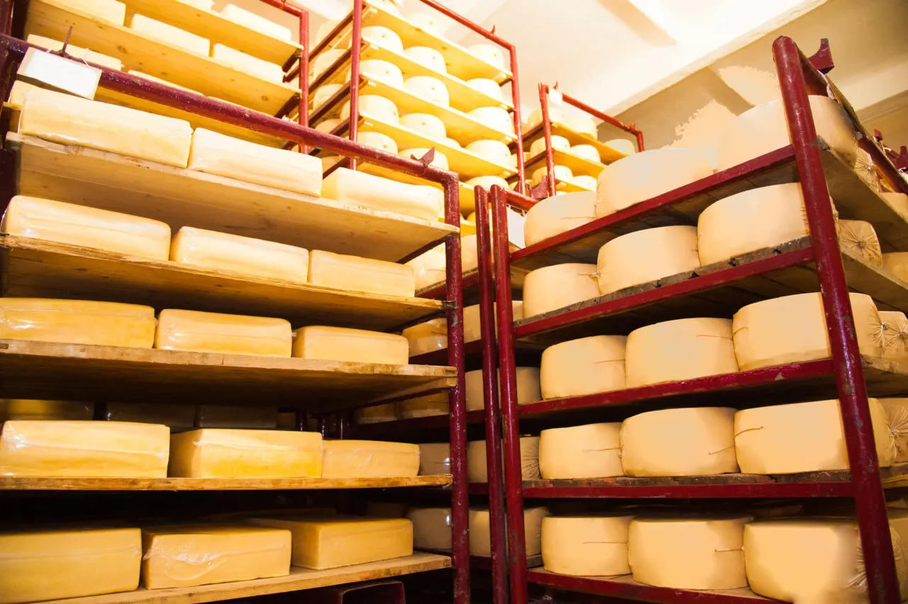 Mnisi produkujący ser średniowiecze