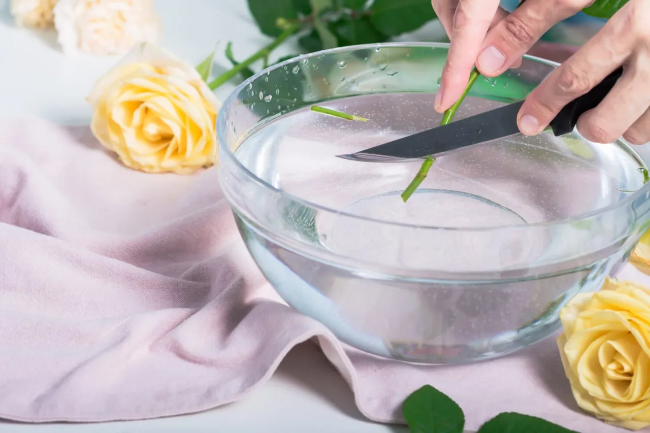 pielęgnacja r&oacute;ż w wazonie