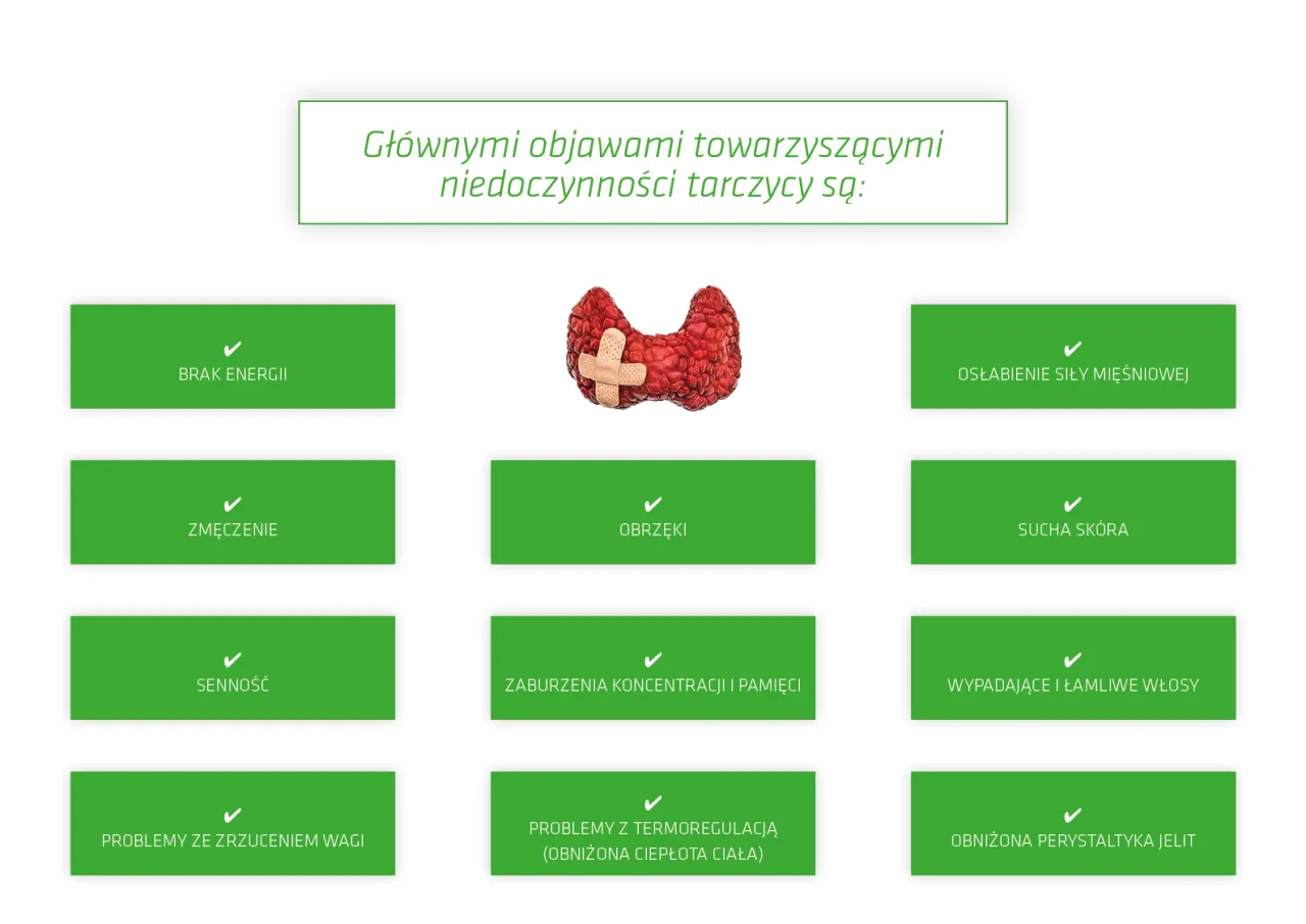 Niedoczynność tarczycy wpływ na metabolizm i wagę