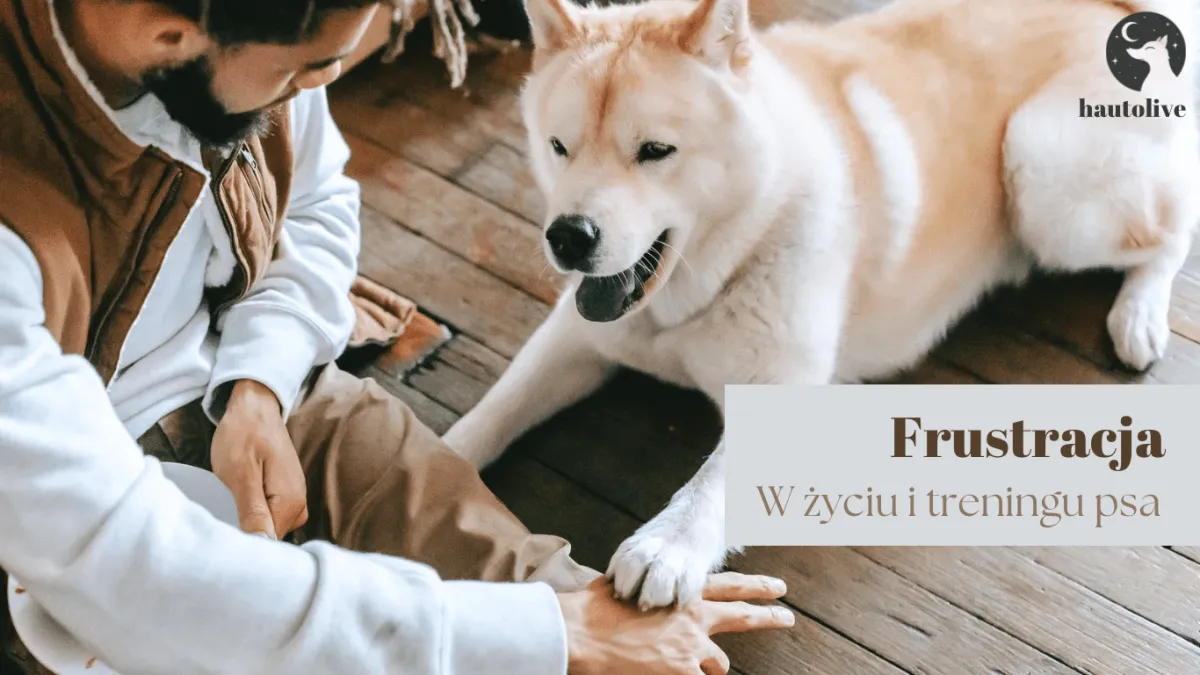 frustracja właściciela psa w treningu