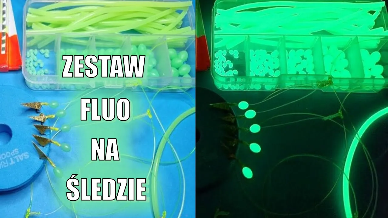 Zestaw choinka śledziowa budowa