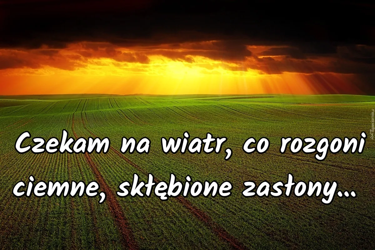 Zdjęcie Tekst piosenki czekam na wiatr co rozgoni - analiza i znaczenie