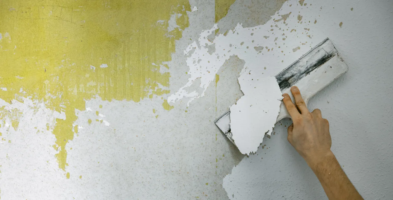 Dłoń zeskrobuje starą farbę szpachelką. Zastanawiasz się, ile warstw farby można położyć na ścianę? To zależy od stanu podłoża.