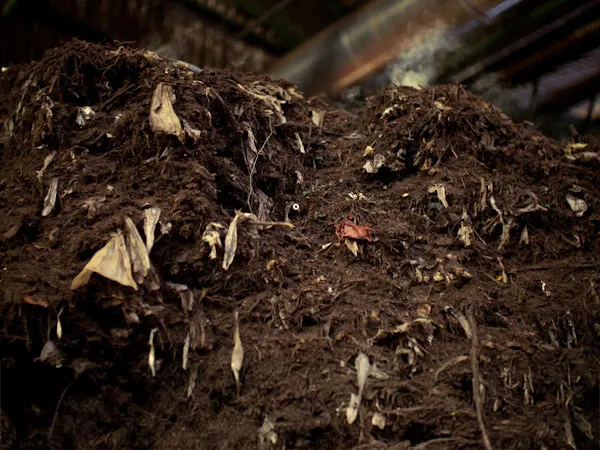 zanieczyszczony kompost wysypisko śmieci