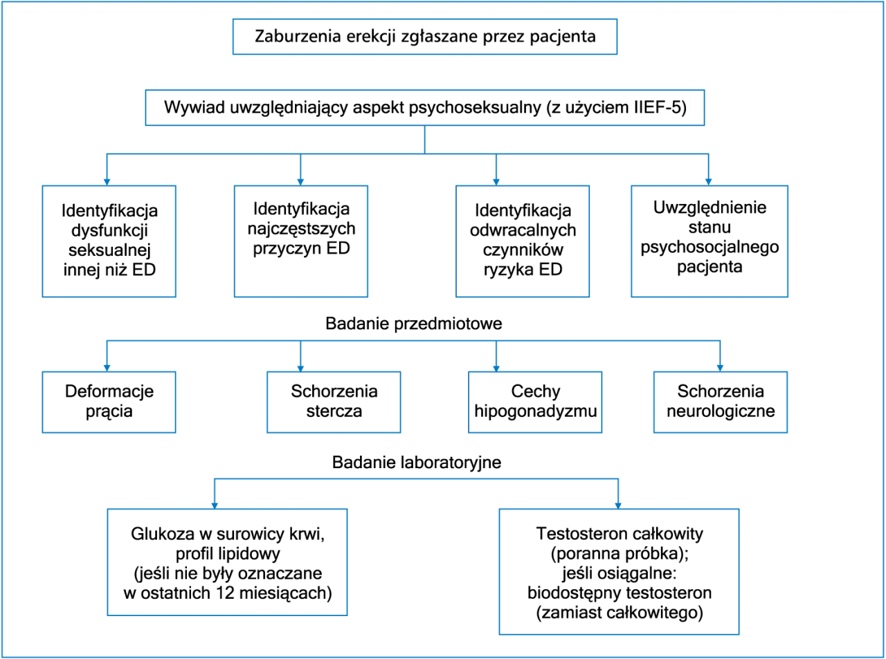Metody leczenia zaburzeń erekcji schemat
